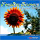 Funky House - August 2002